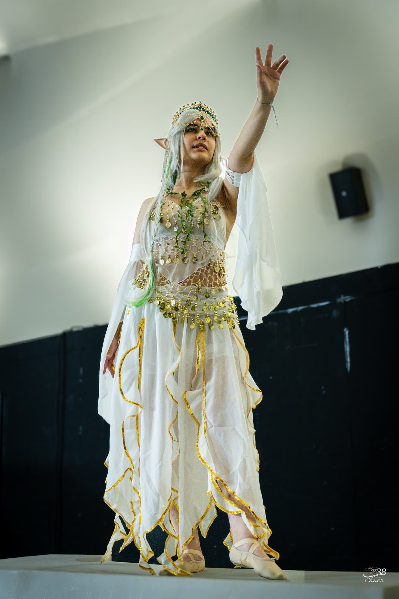 Rukkadevata oriental - Photo 2