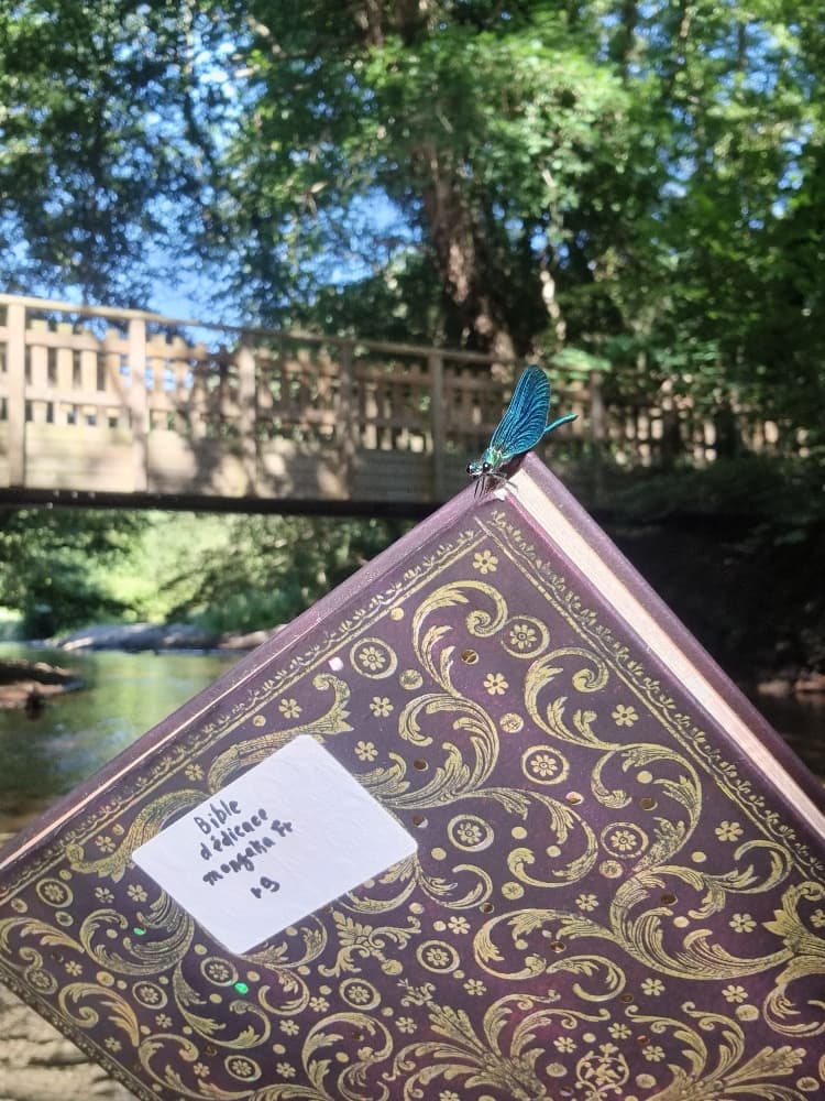 Jésus Carpe rivière - Photo 8