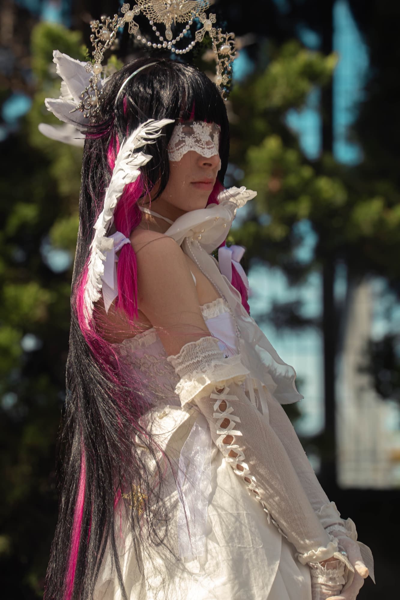 Columbina  - Photo 1