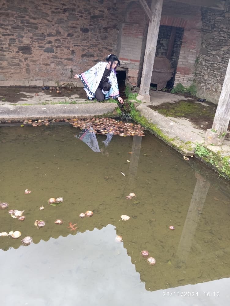 Shinobu KOCHO - Photo 7