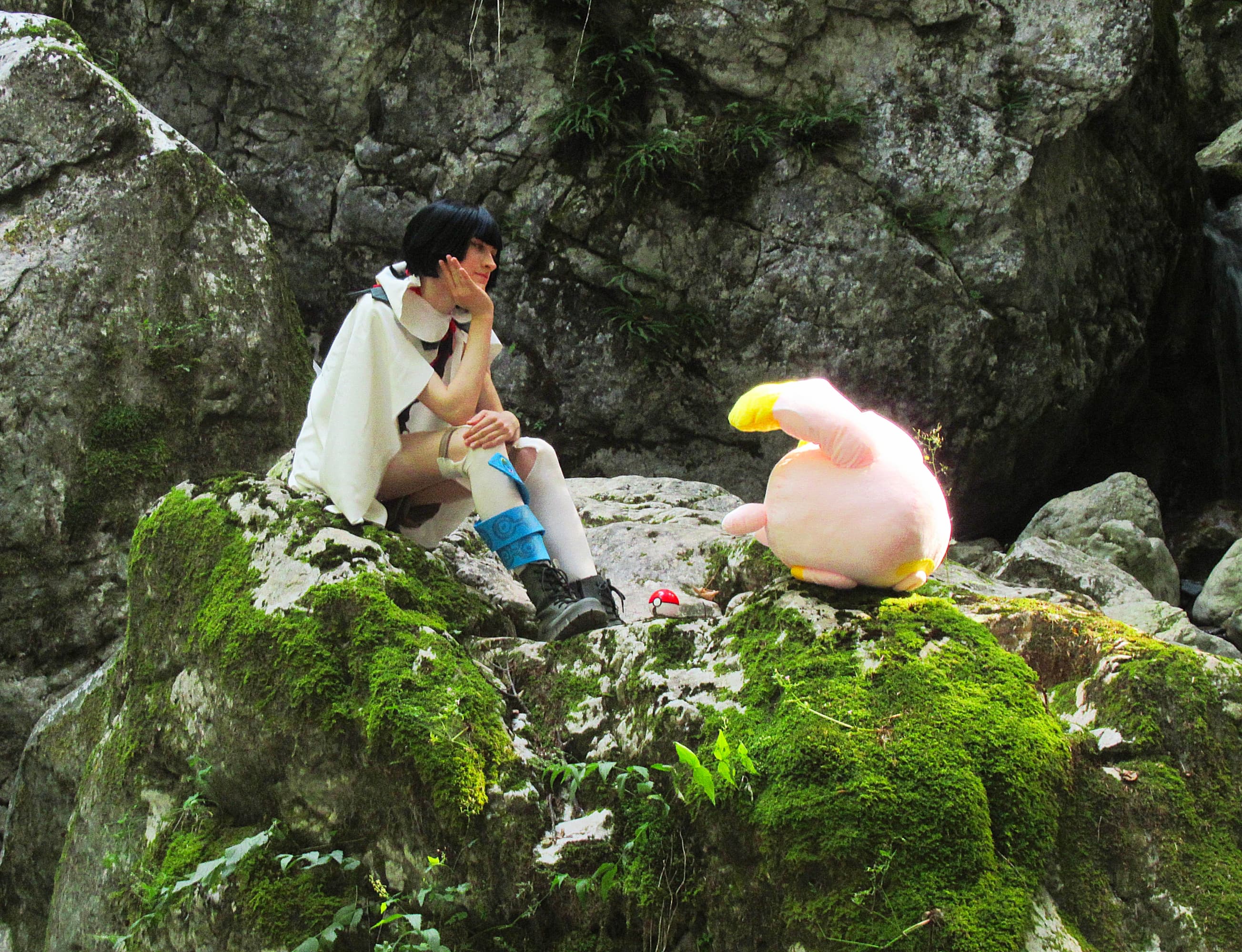 Amaryllis P1  - Photo 4