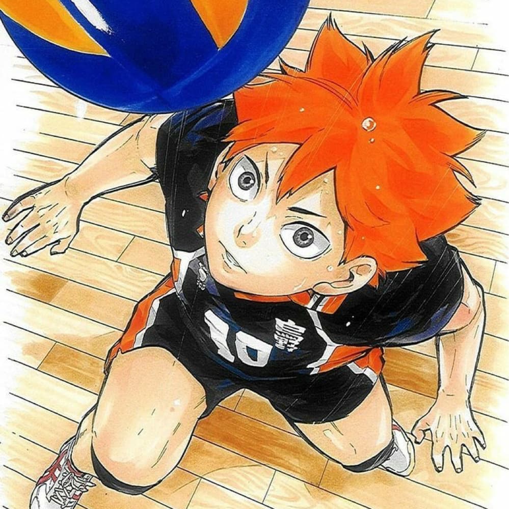 Hinata Shoyo 