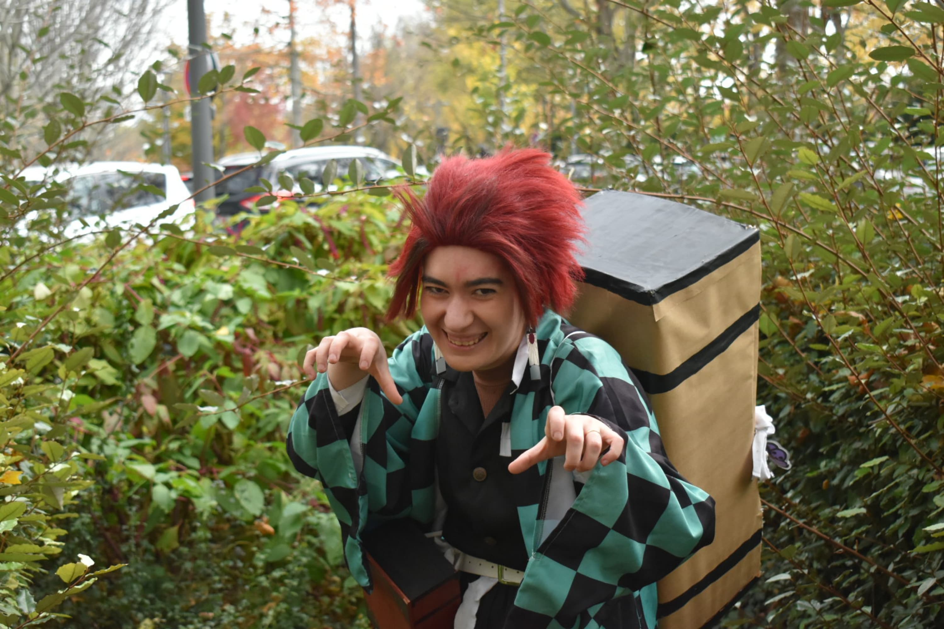 Tanjiro kamado  - Photo 12