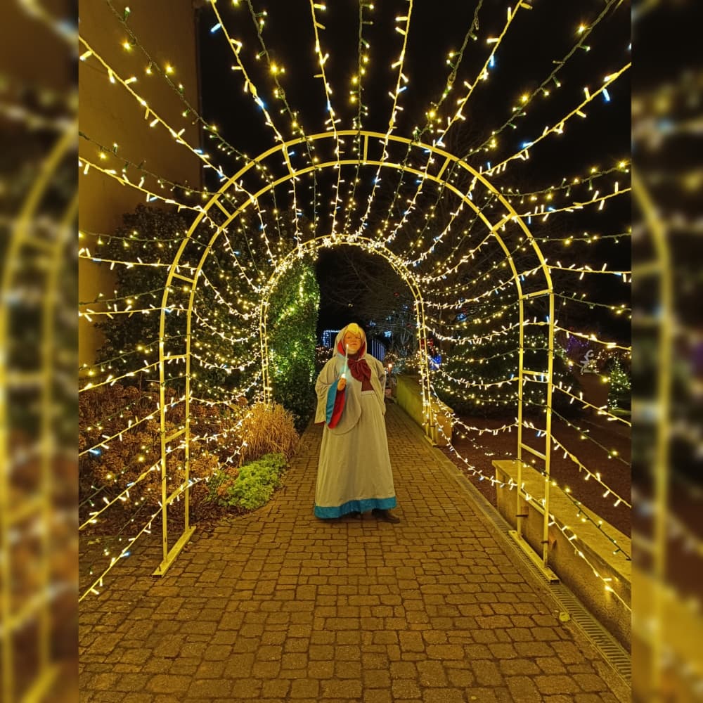 Bonne fée de Noël  - Photo 6