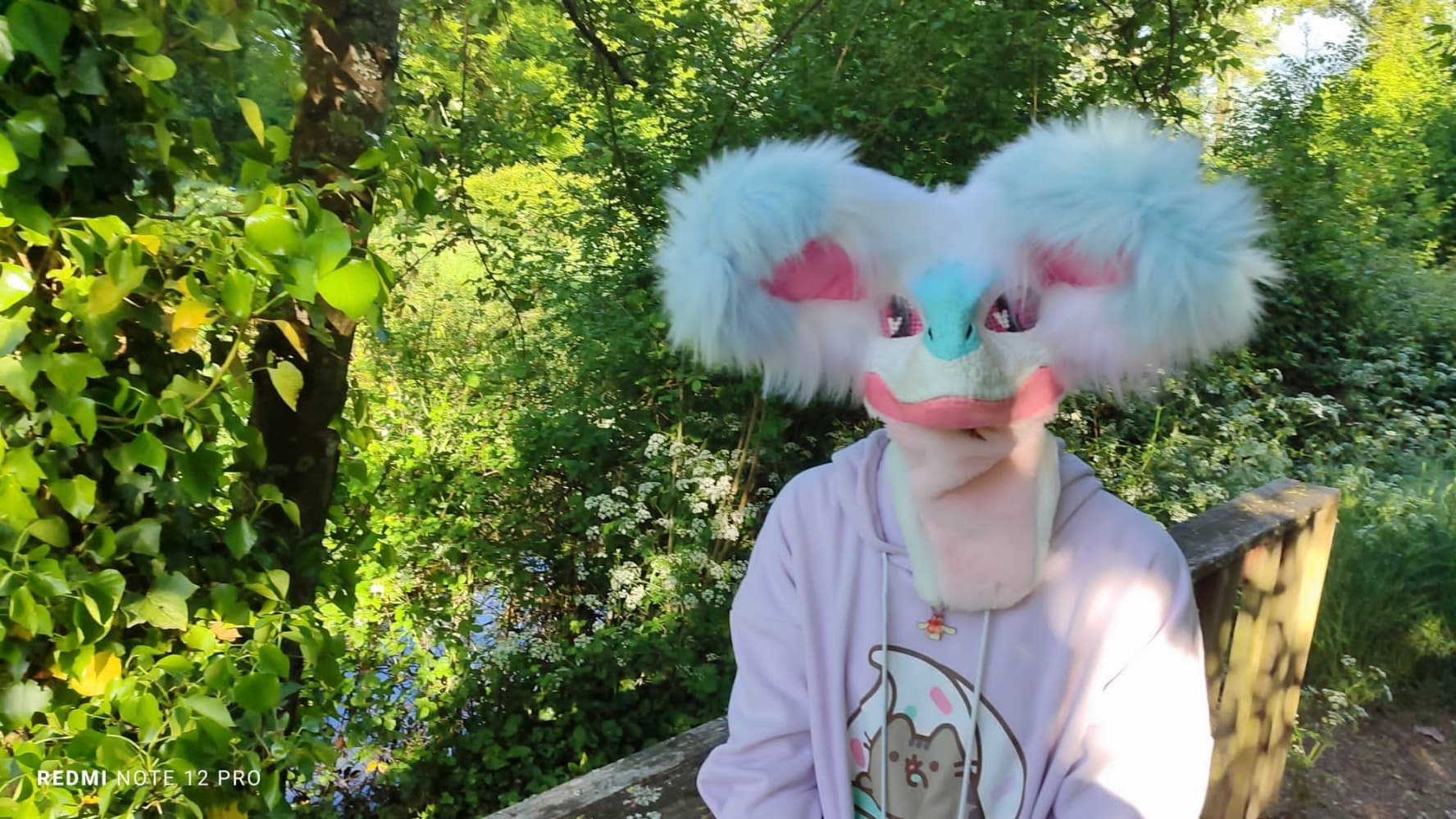 Debut du printemps  - Photo 49