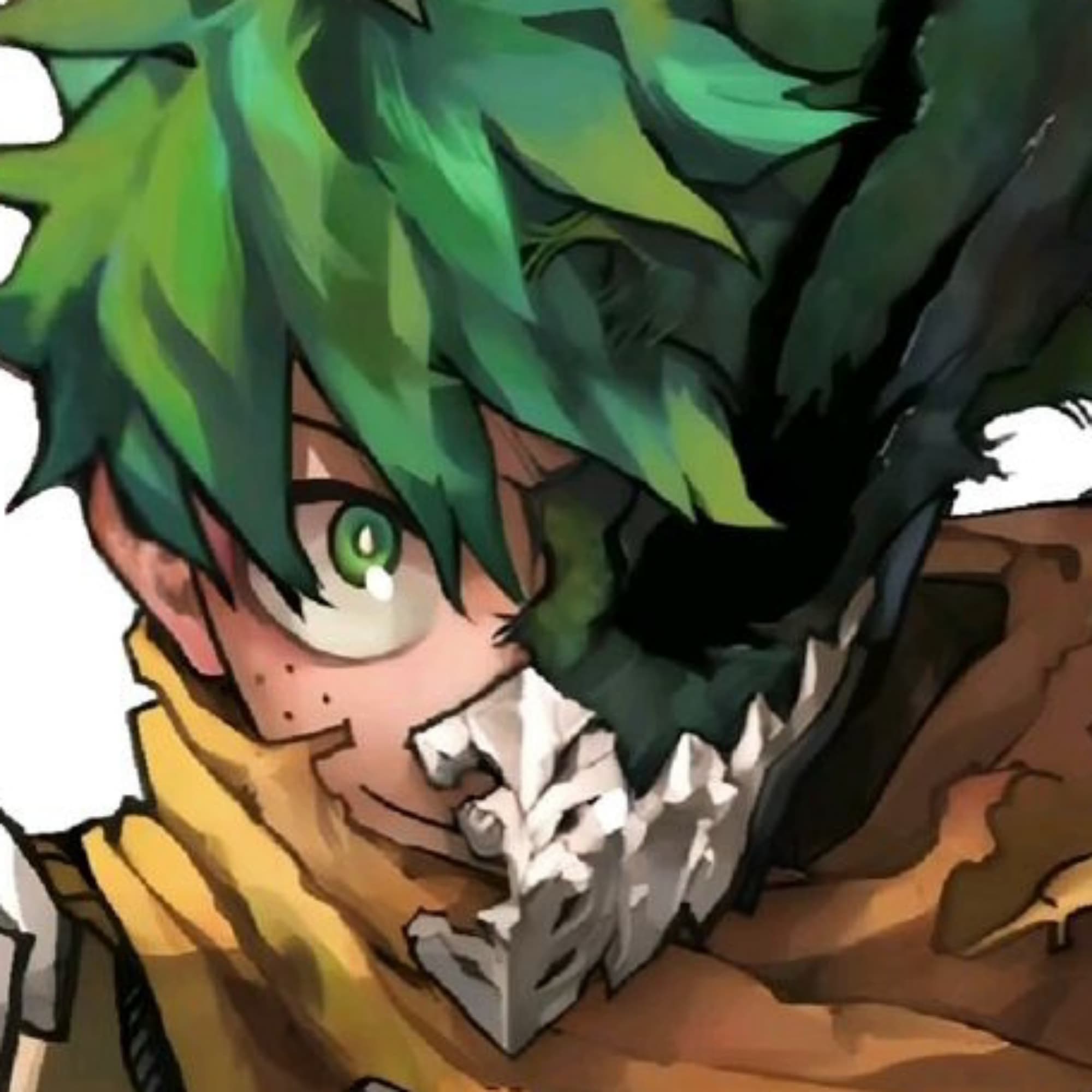 Izuku Midoriya 