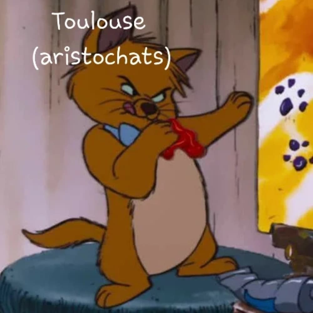 Toulouse 