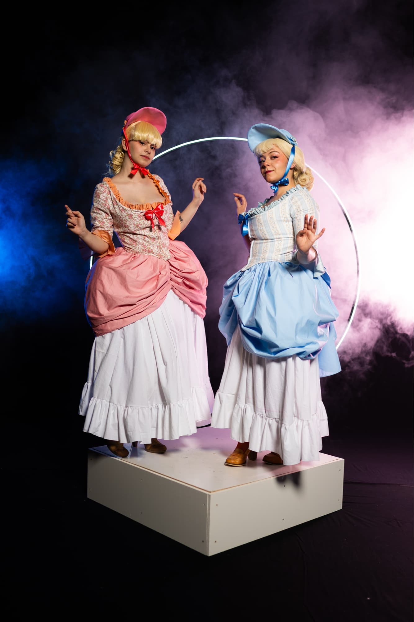 Les oies des aristoc - Photo 3