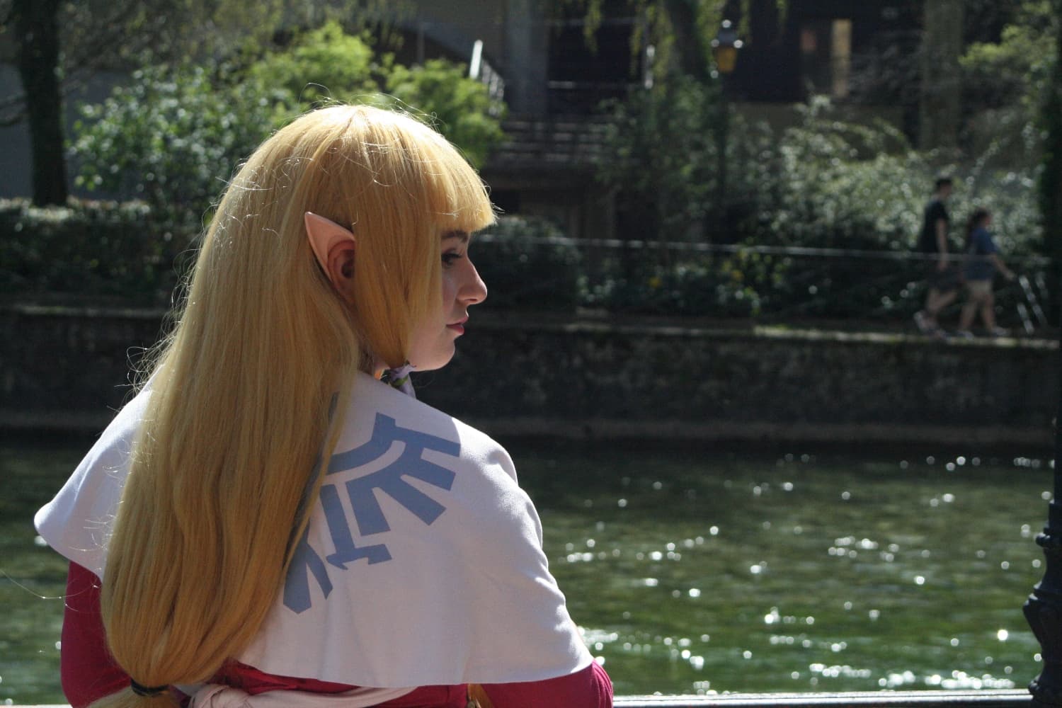 Zelda Skyward Sword  - Photo 18