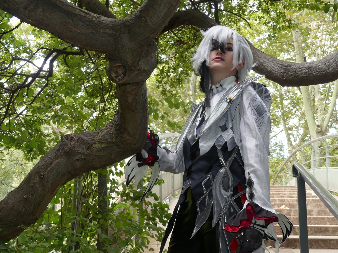 Arlecchino - Photo 17