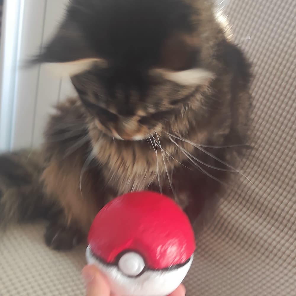Pokéball - Photo 5