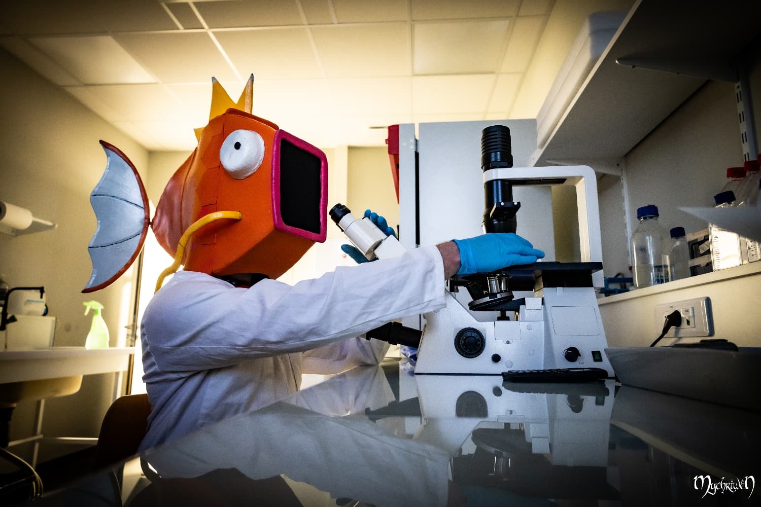 Professor Magicarpe  - Photo 12