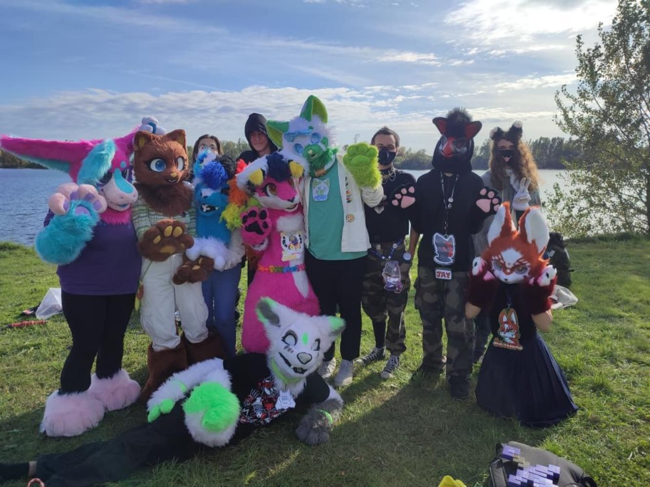 Folie furmeet - Photo 5