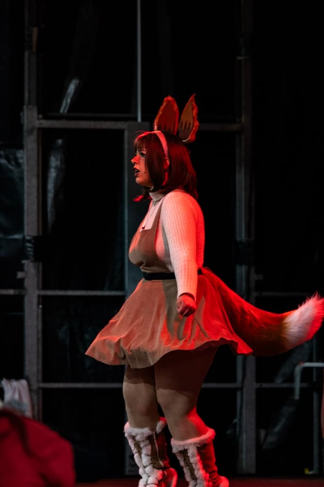 Evoli-passage scene - Photo 2