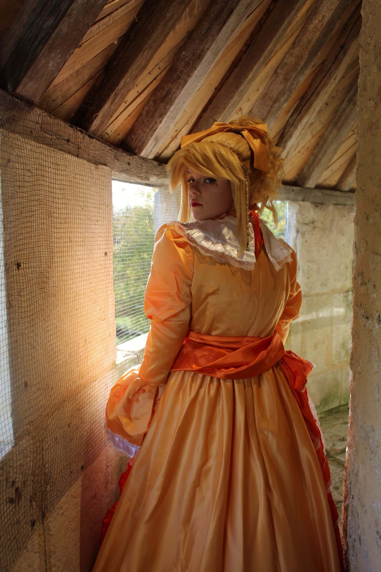 Rilliane chateau - Photo 20