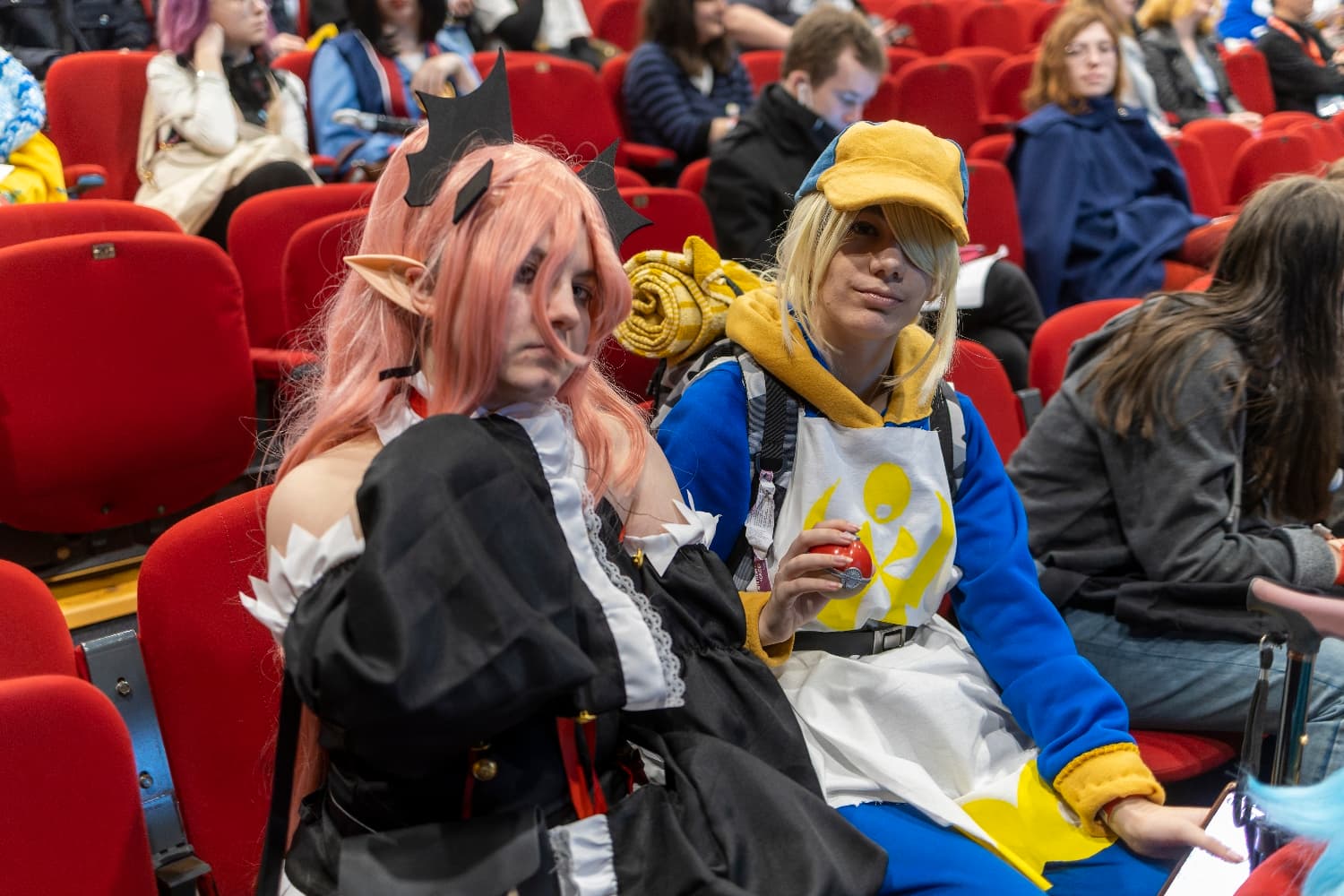 Percupio - cf - Photo 2