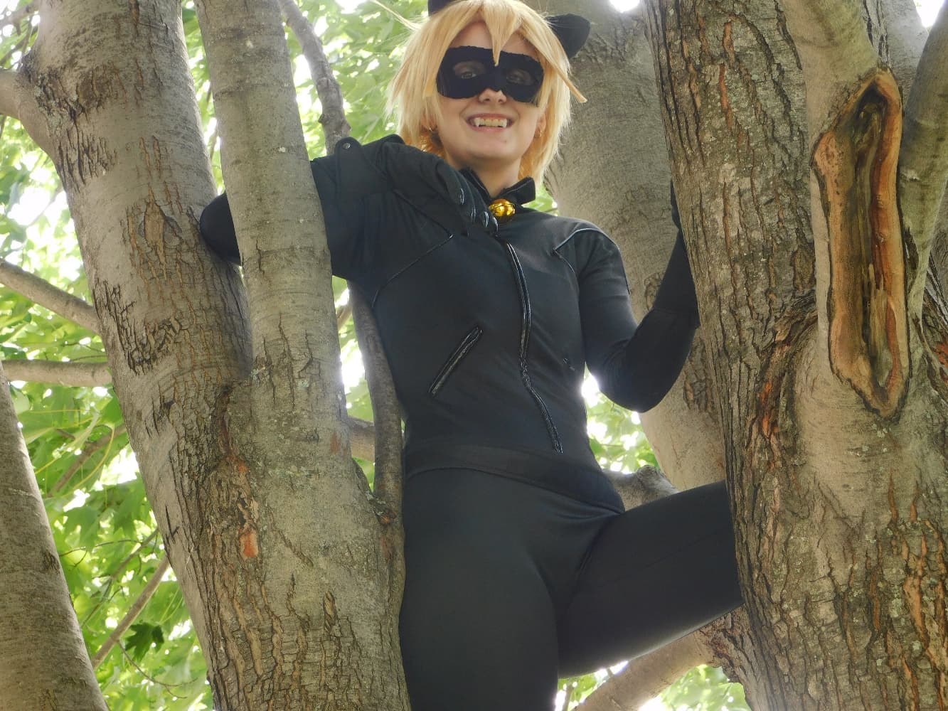 Chat Noir - Photo 12