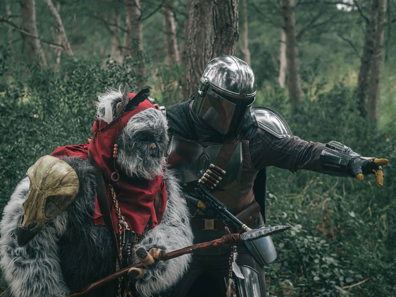 Forest Shooting - Photo 10