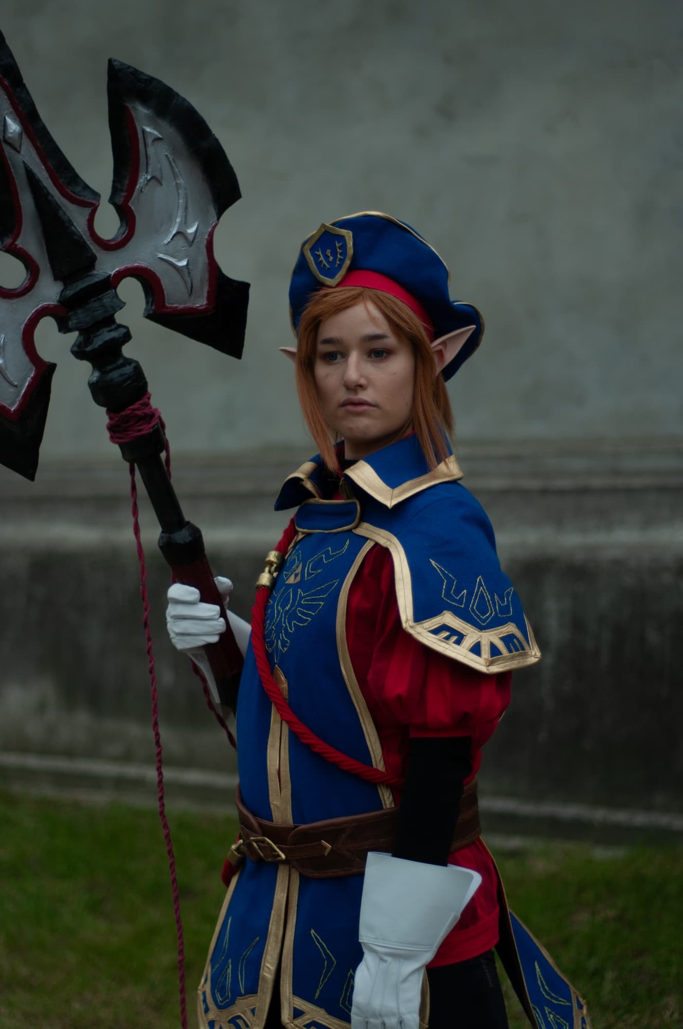 Royal guard link - Photo 13