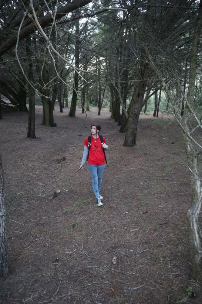 Ellie TLOU forest - Photo 15