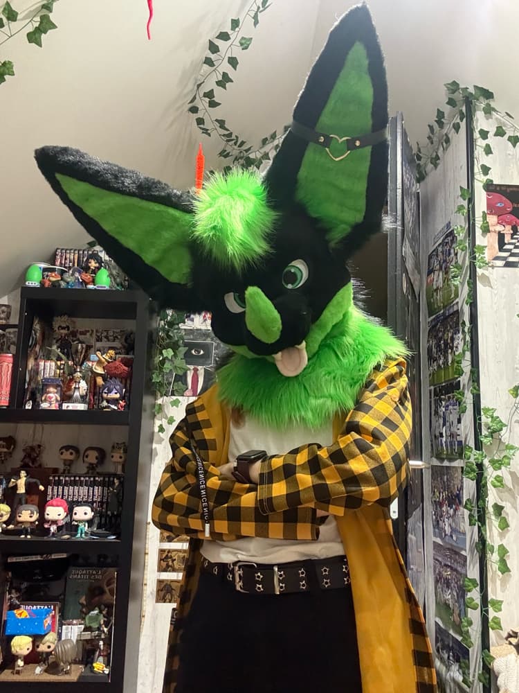 Photos Razzor - Photo 2