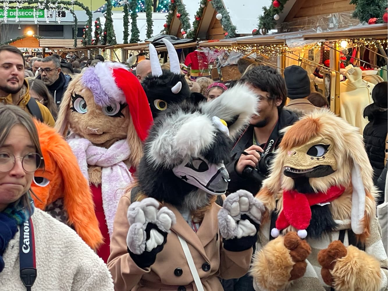 Photos Tapioca - Photo 26