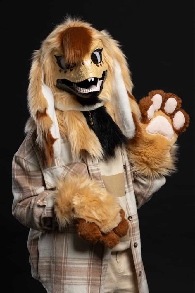 Photos Tapioca - Photo 23