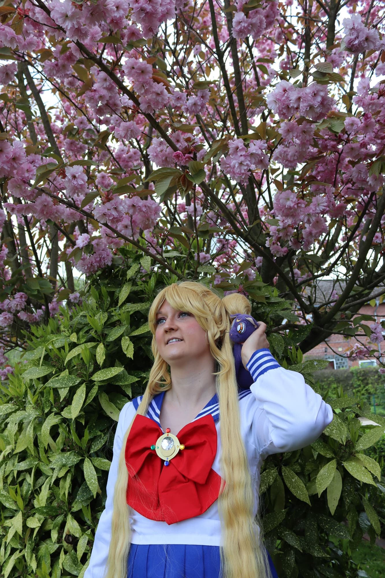 Usagi Tsukino  - Photo 34