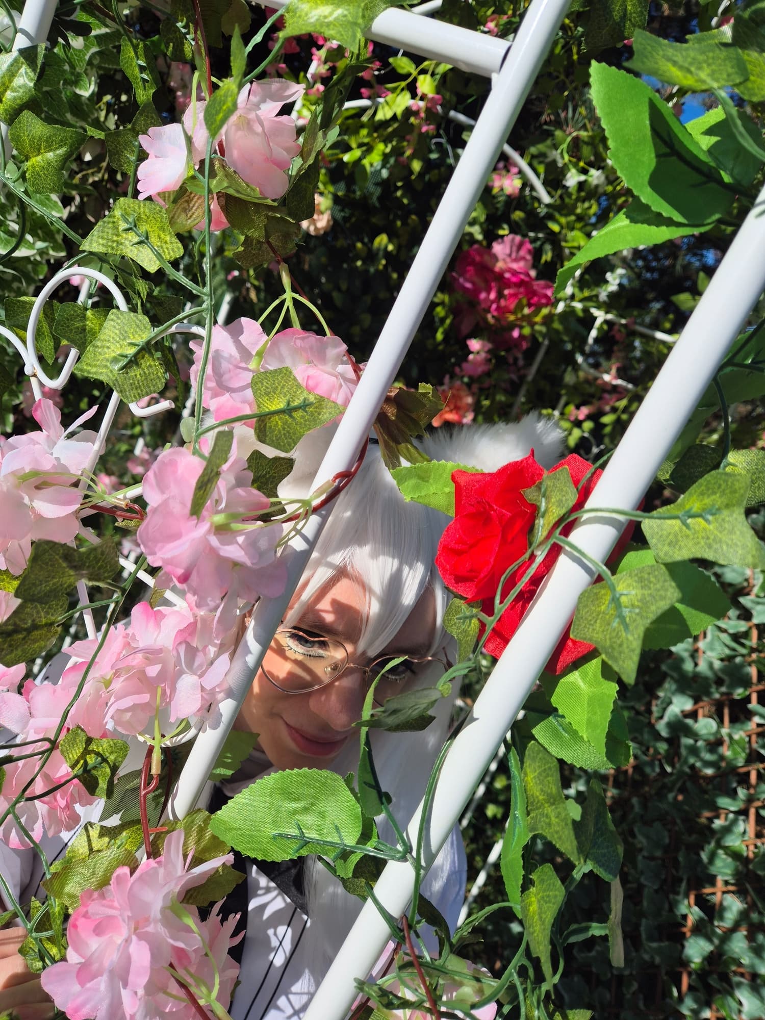 Sortie de Koneko - Photo 11