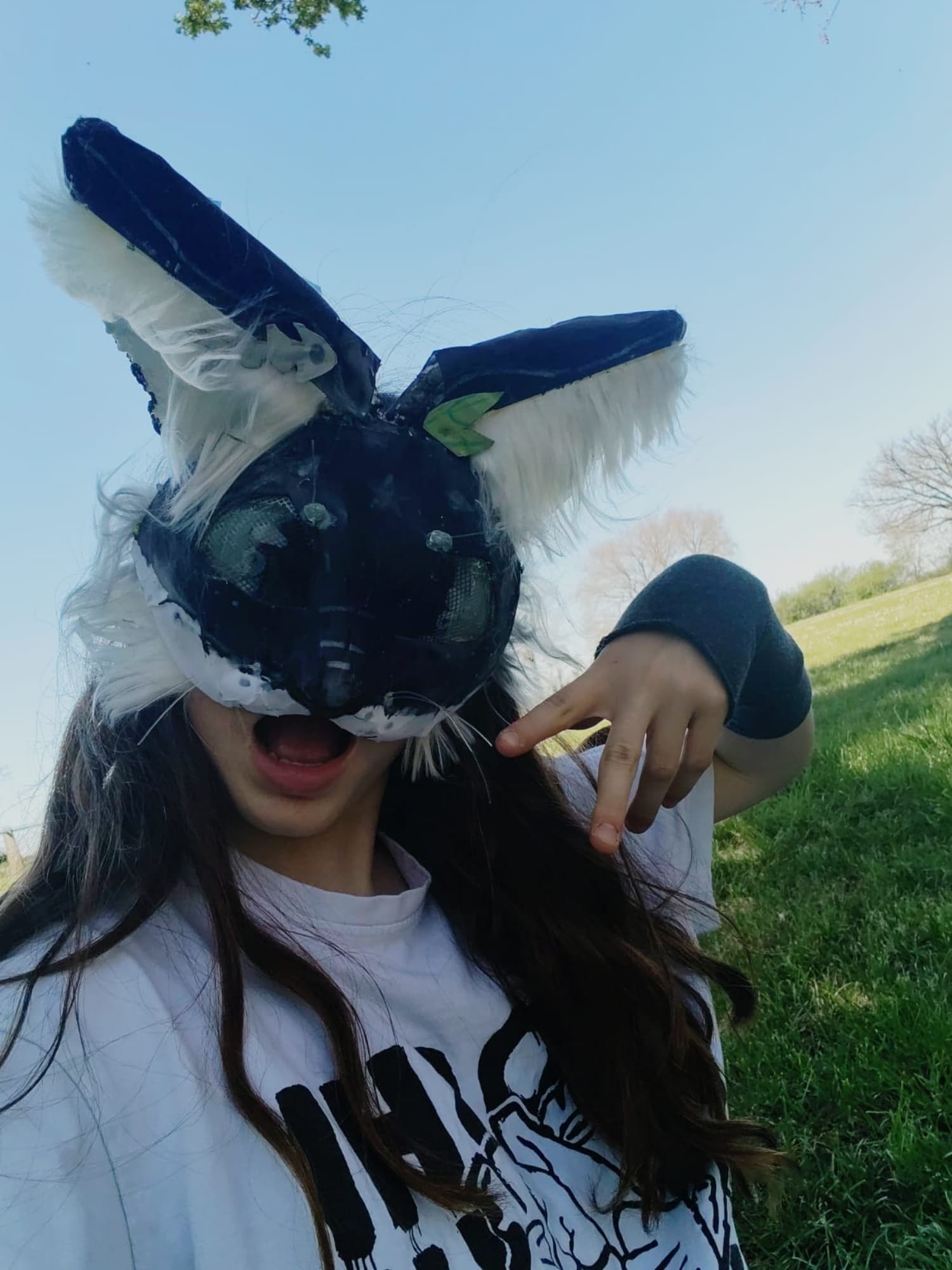 Masque Therian Shiro