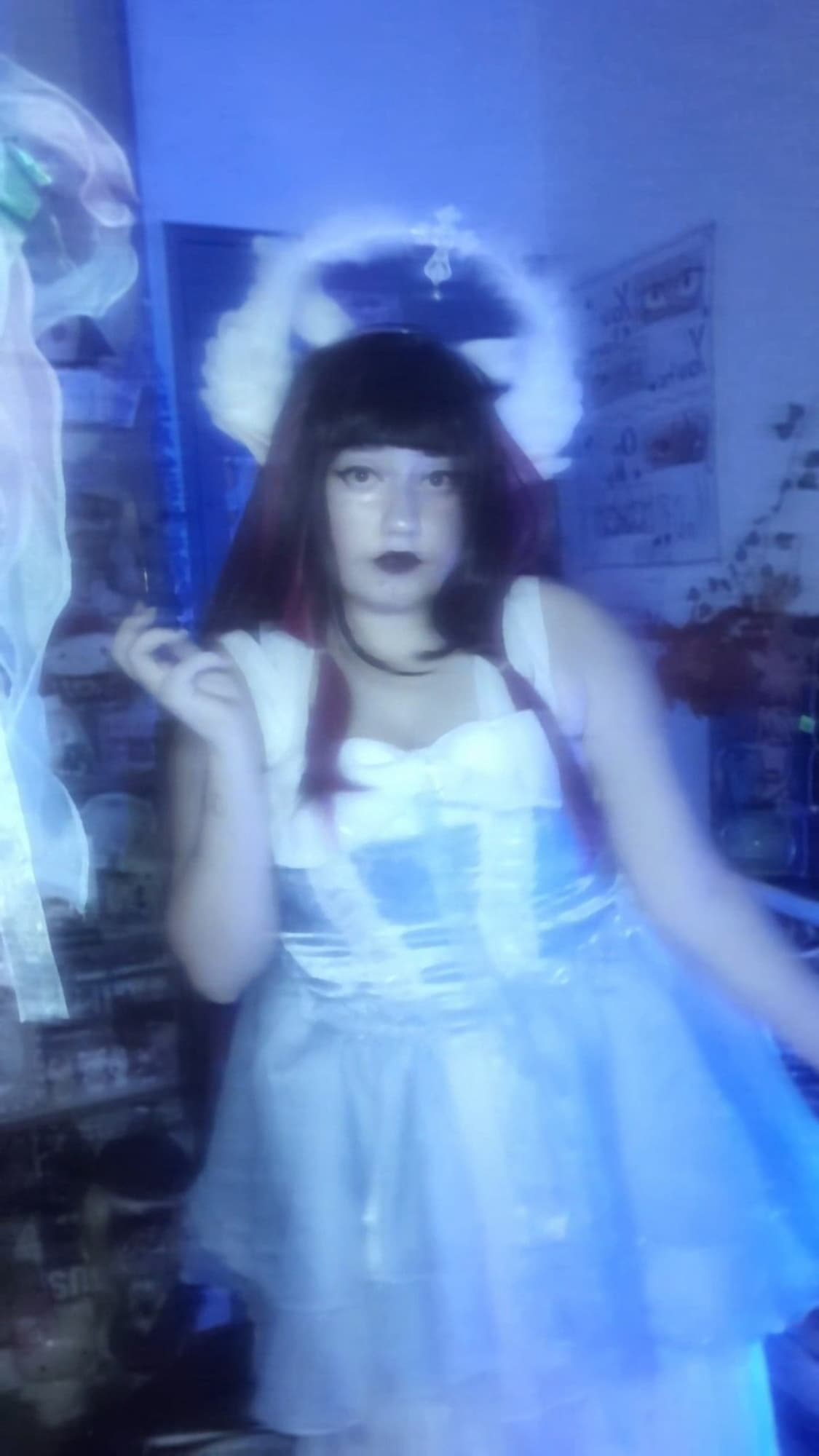 Columbina  - Photo 10