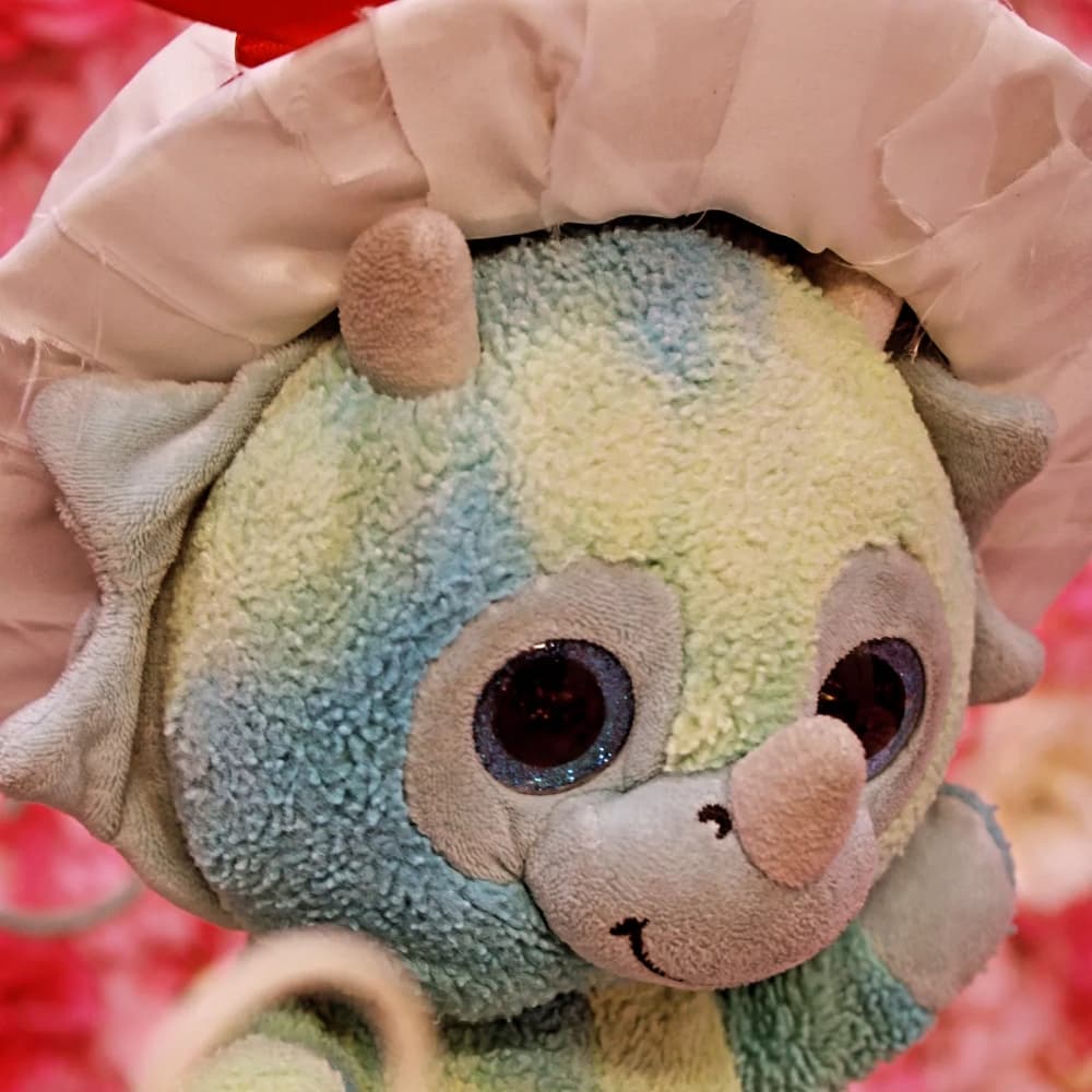 Hanon Hosho cgc - Photo 5