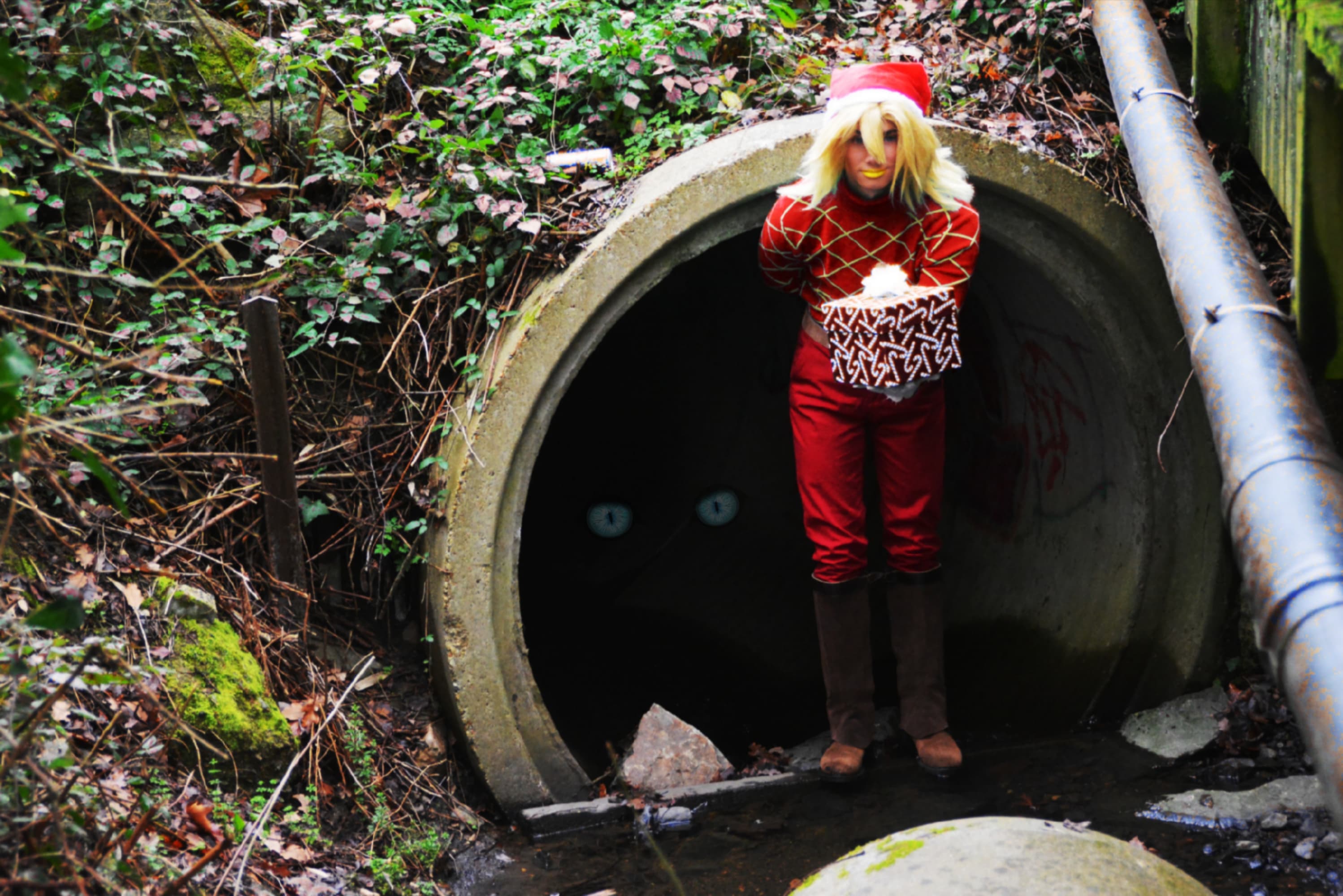 Diego Brando Noël - Photo 3