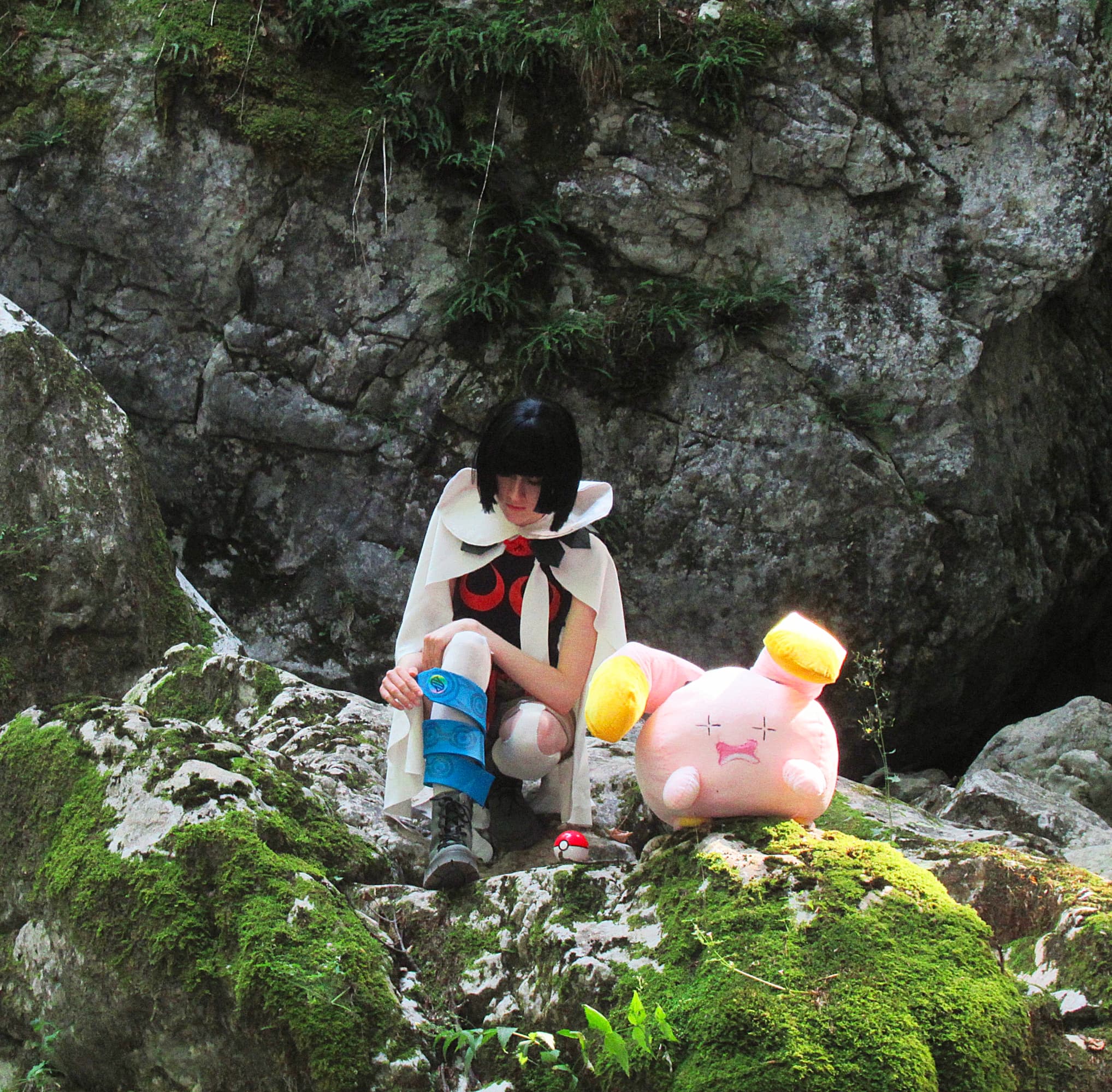 Amaryllis P1  - Photo 14