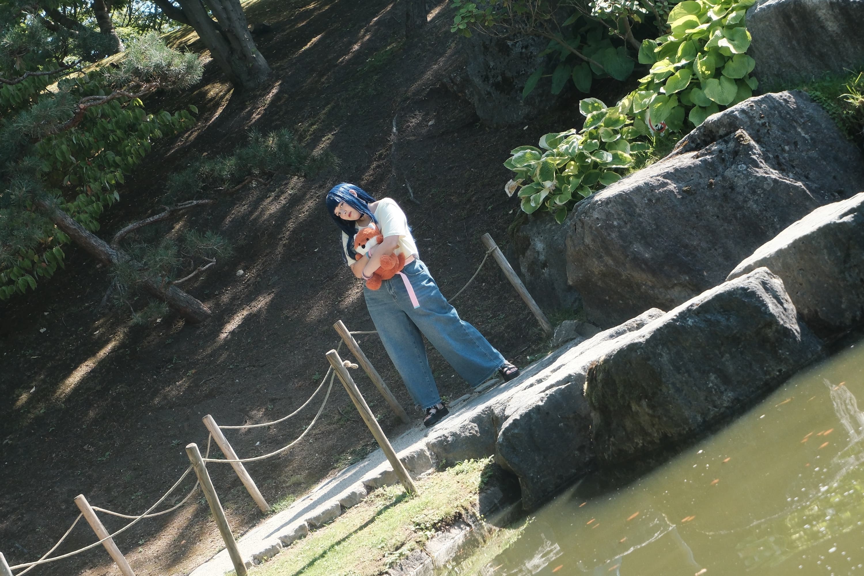 Himawari  - Photo 22