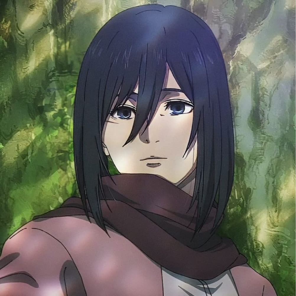 Mikasa 