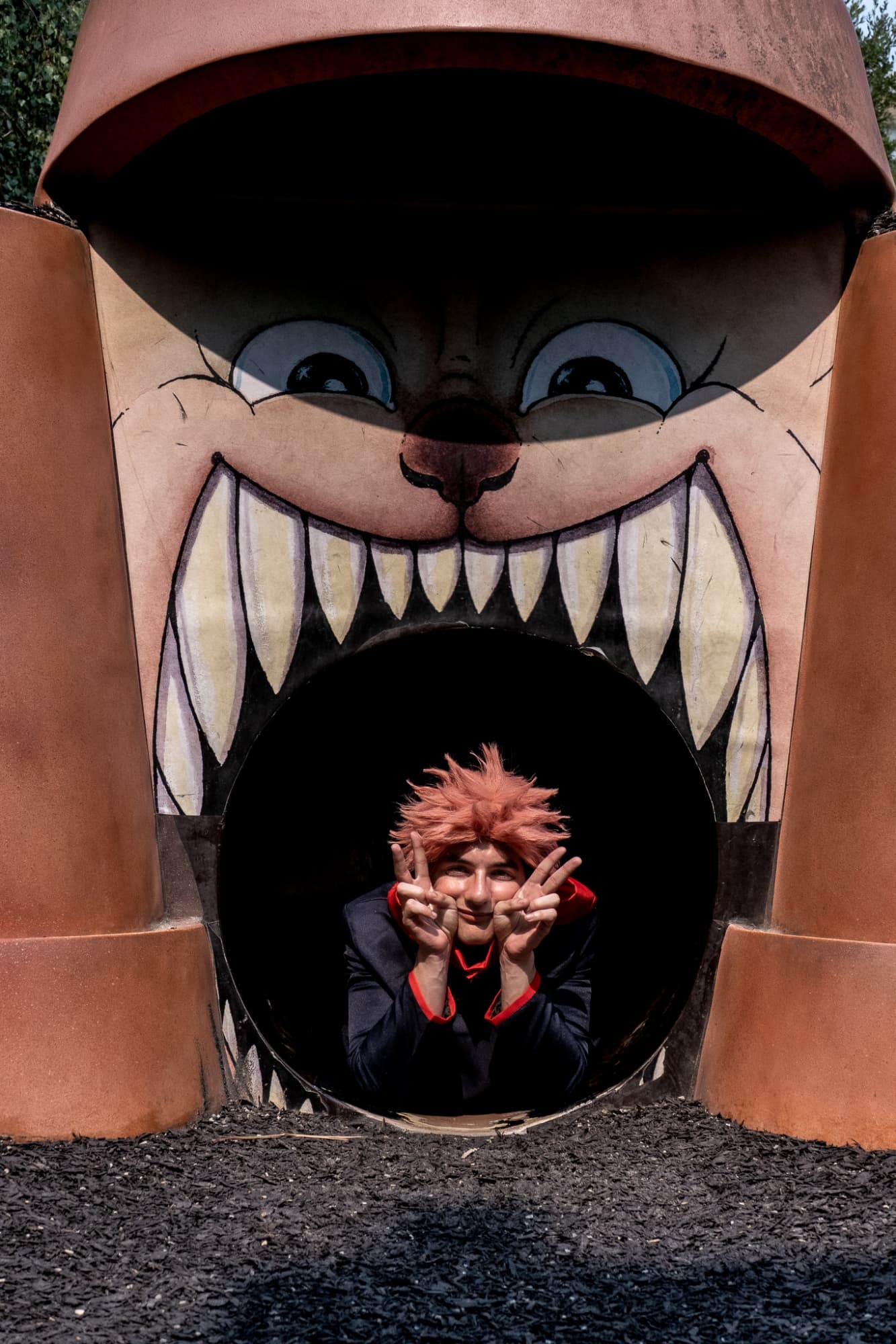 Jardin des plantes - Photo 5