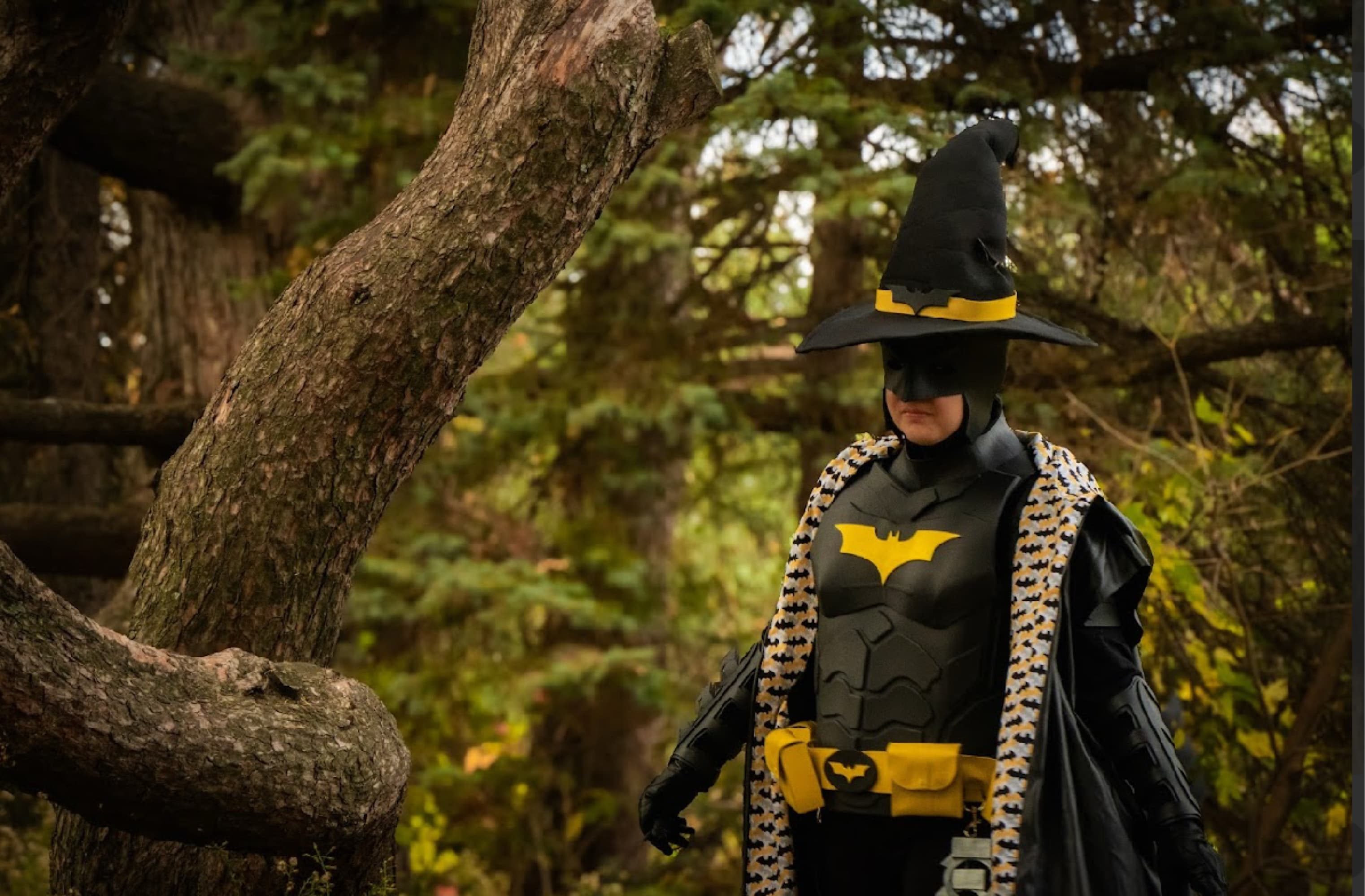 Batman Wizard - Photo 1