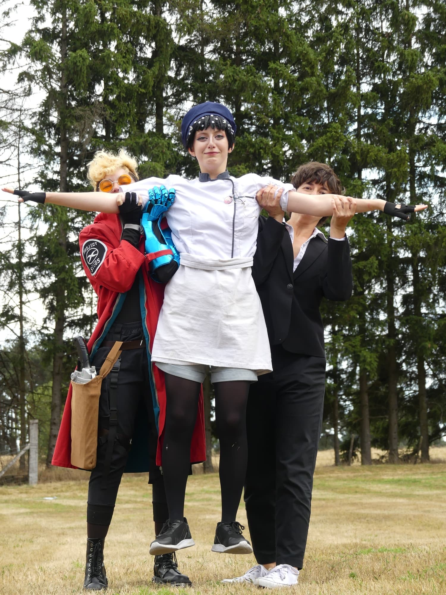 Gevaudan pop culture - Photo 9