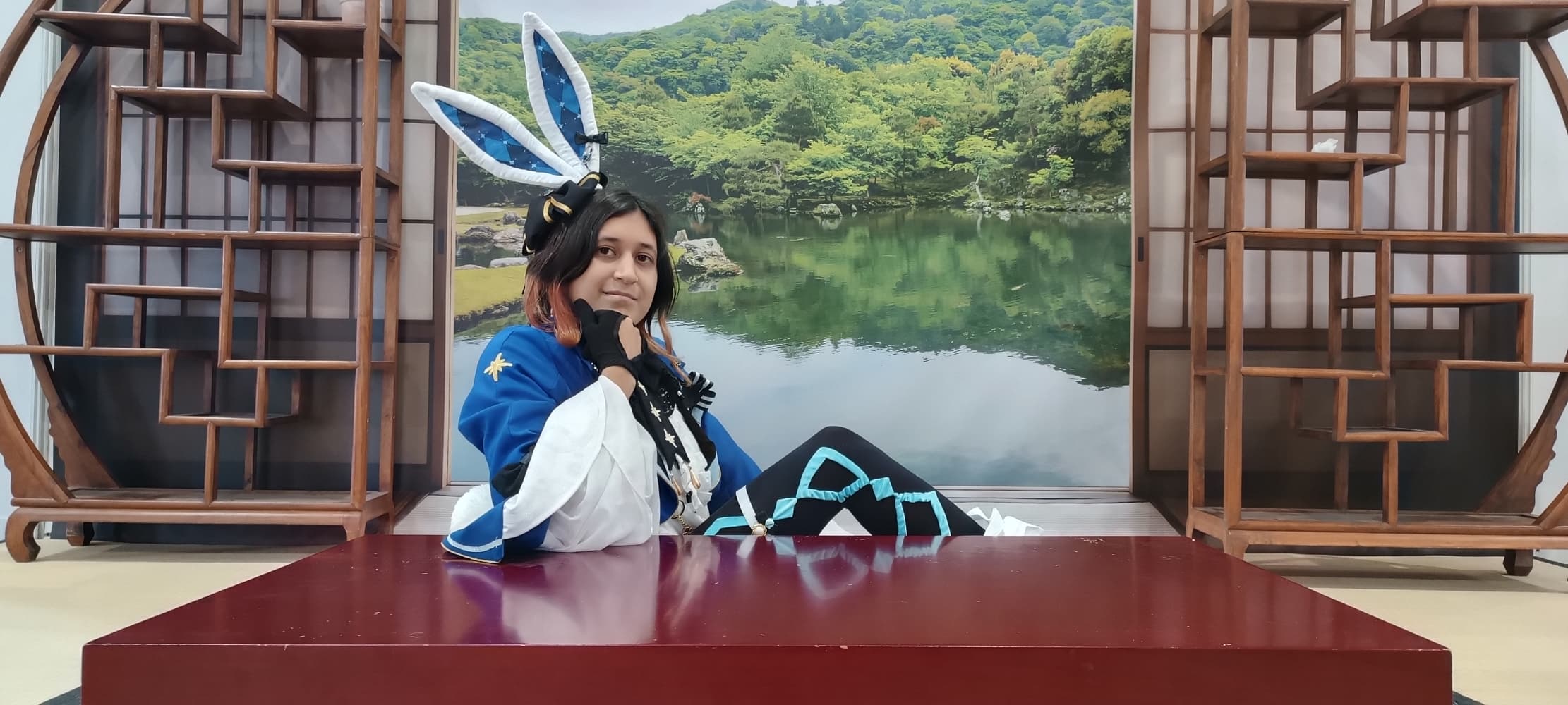 Bunny Furina - Photo 6