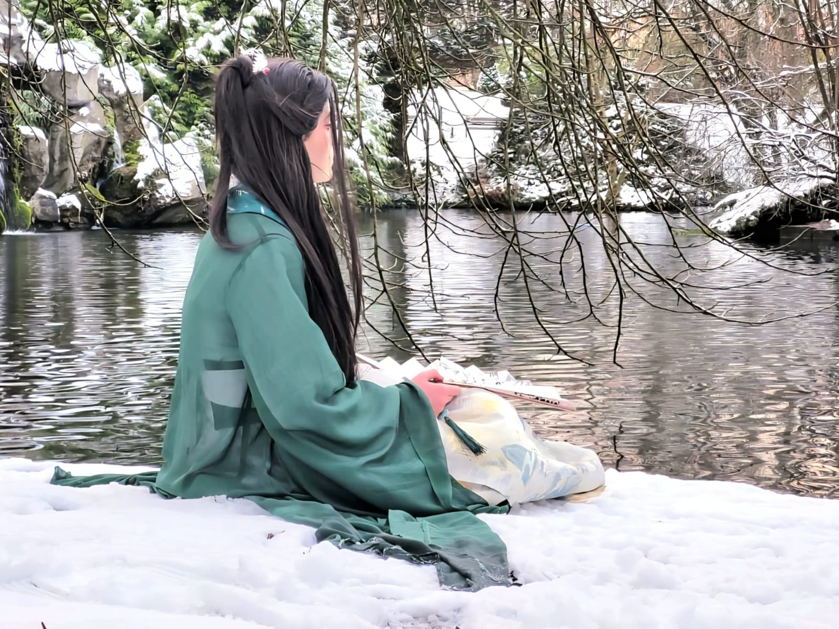 Sous la neige  - Photo 4