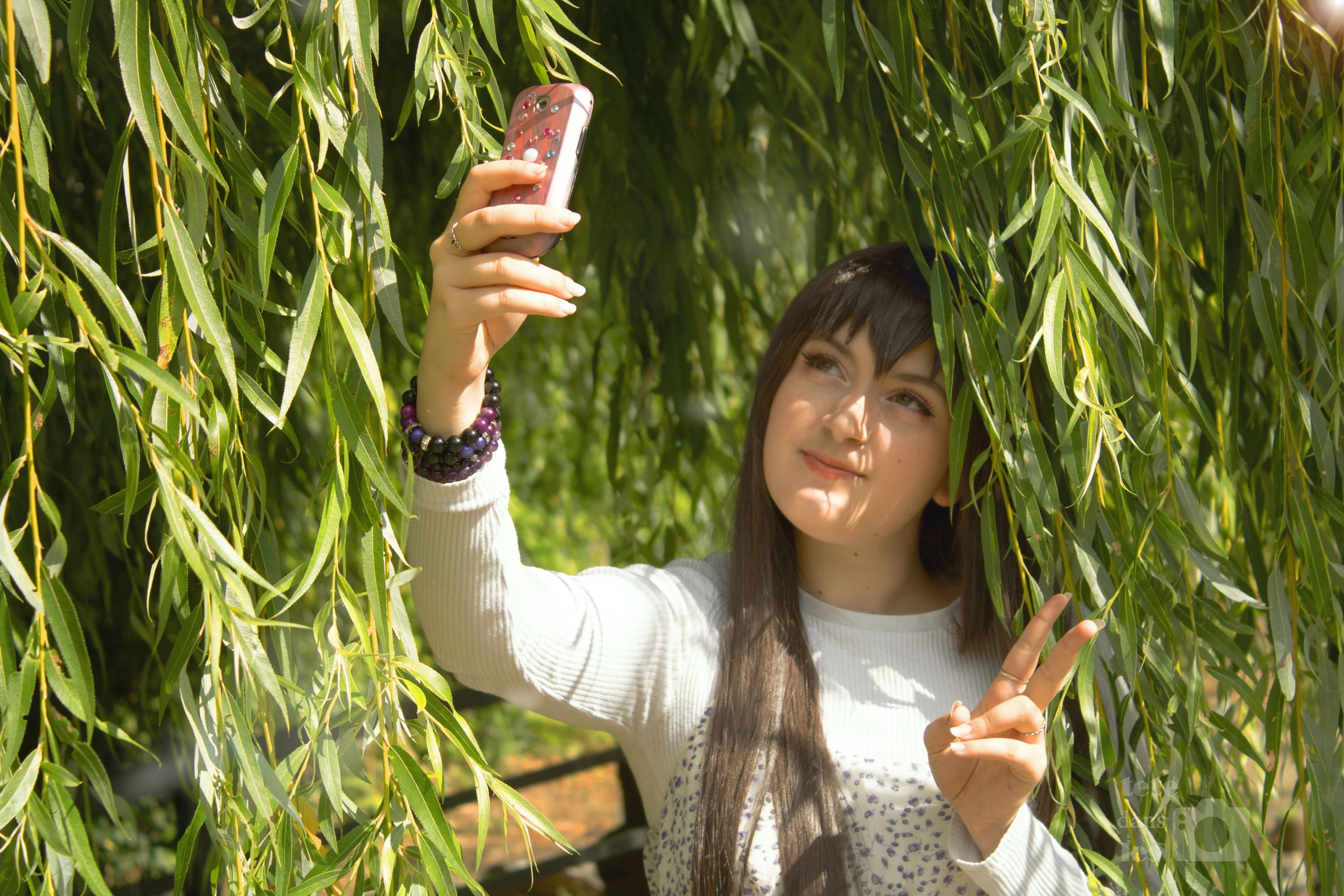 Lysandre et Sucrette - Photo 4