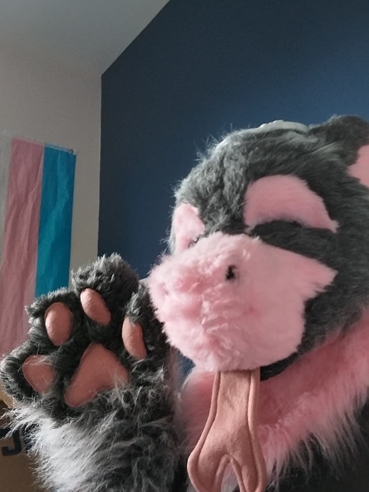 Chaloupinge  - Photo 4