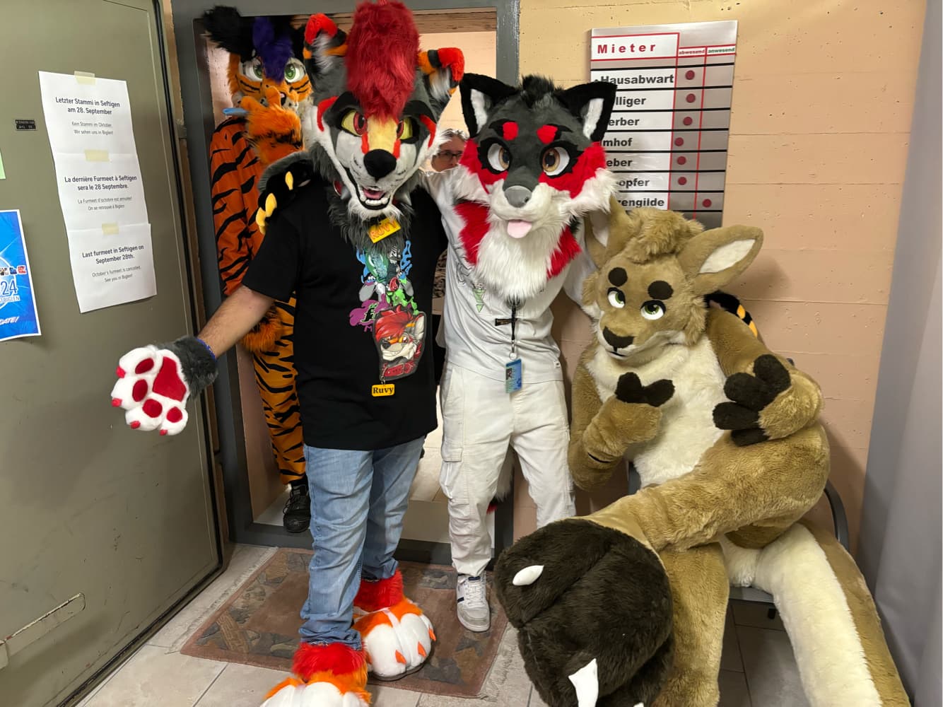 switzerland - Photo 6