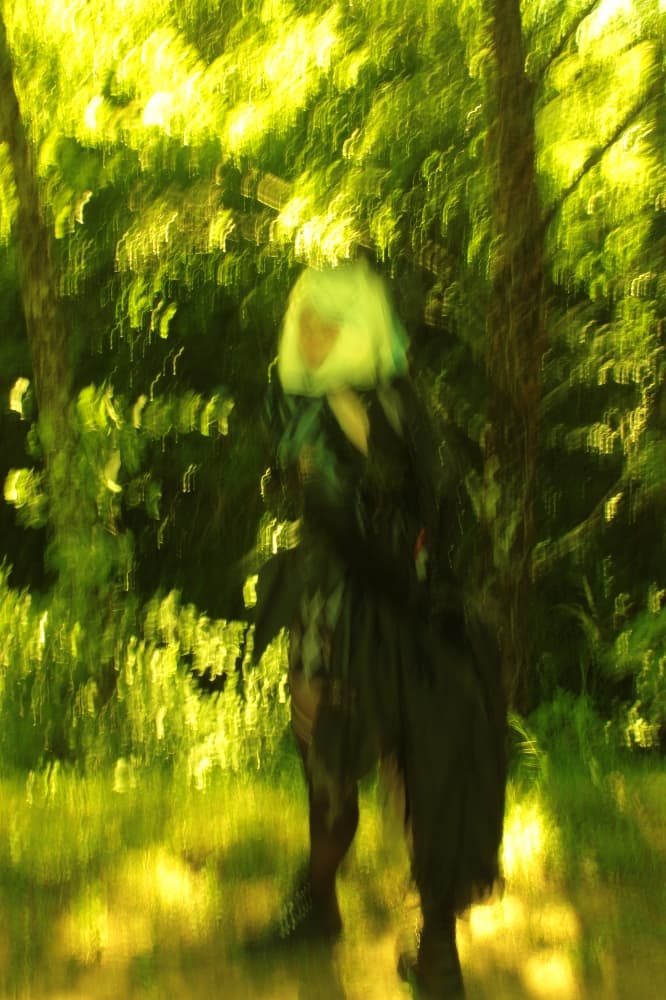 Furina LDV  - Photo 2