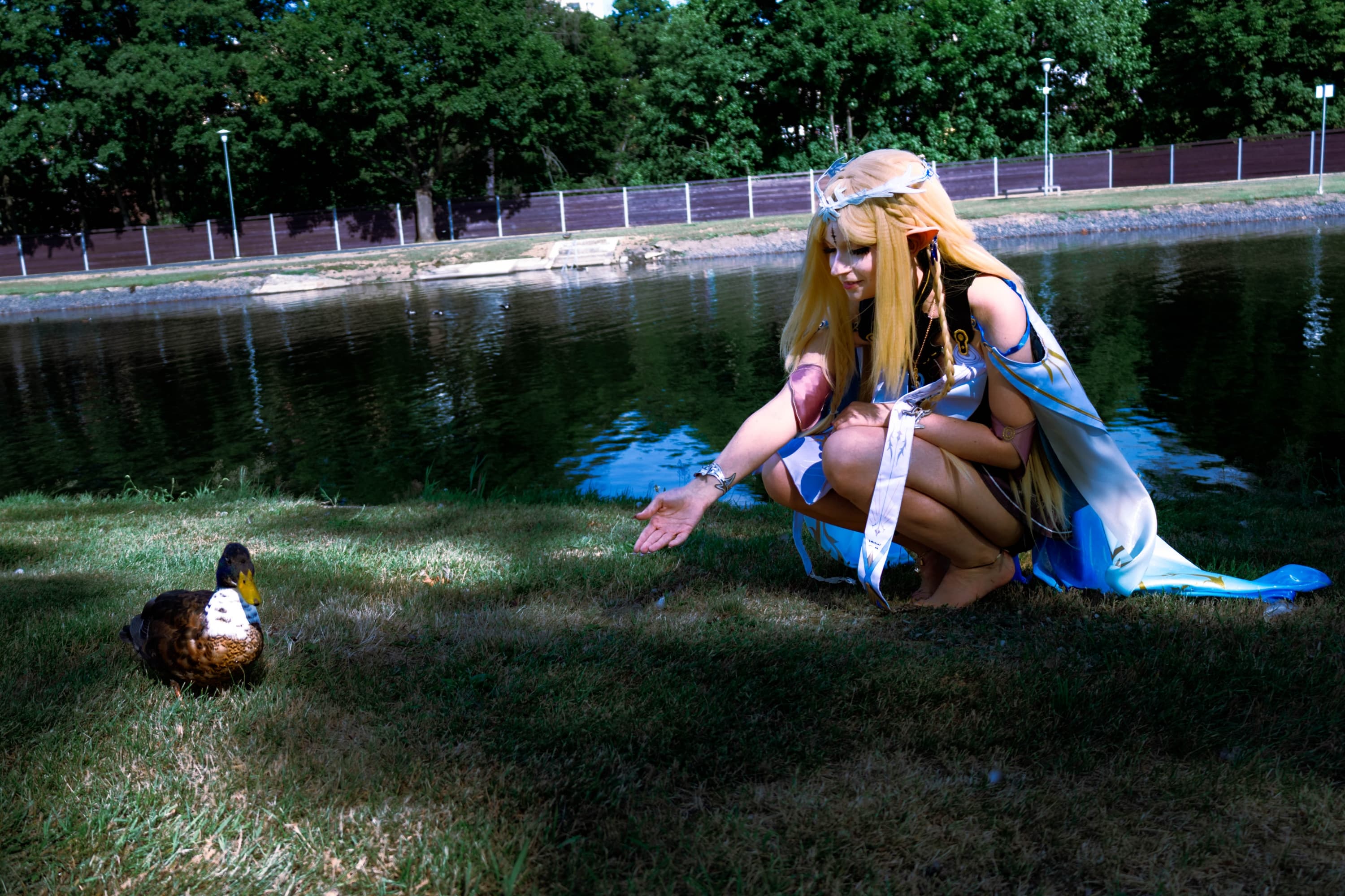 Cartethyia  - Photo 11