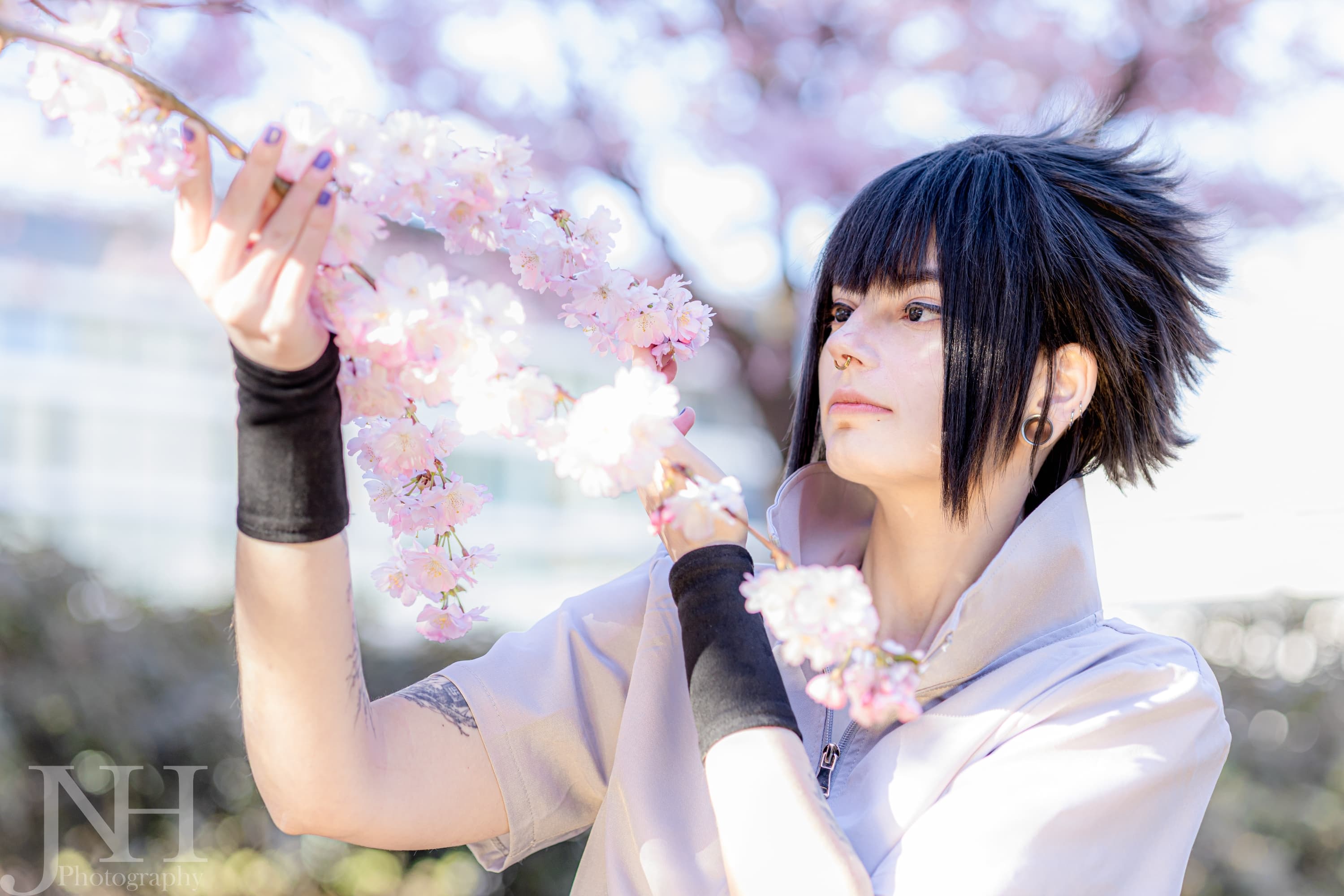 Cherry Blossoms - Photo 3