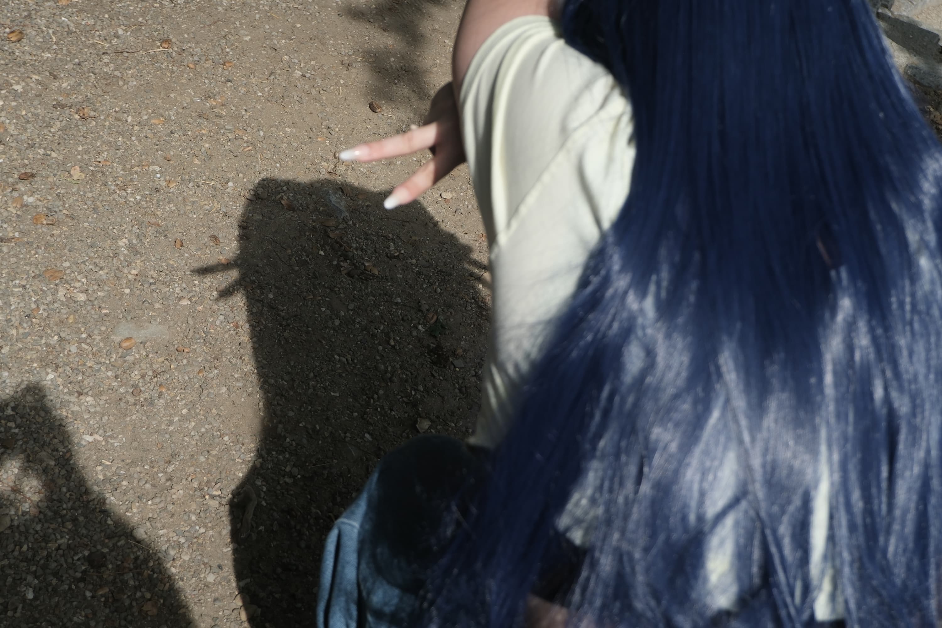 Himawari  - Photo 17