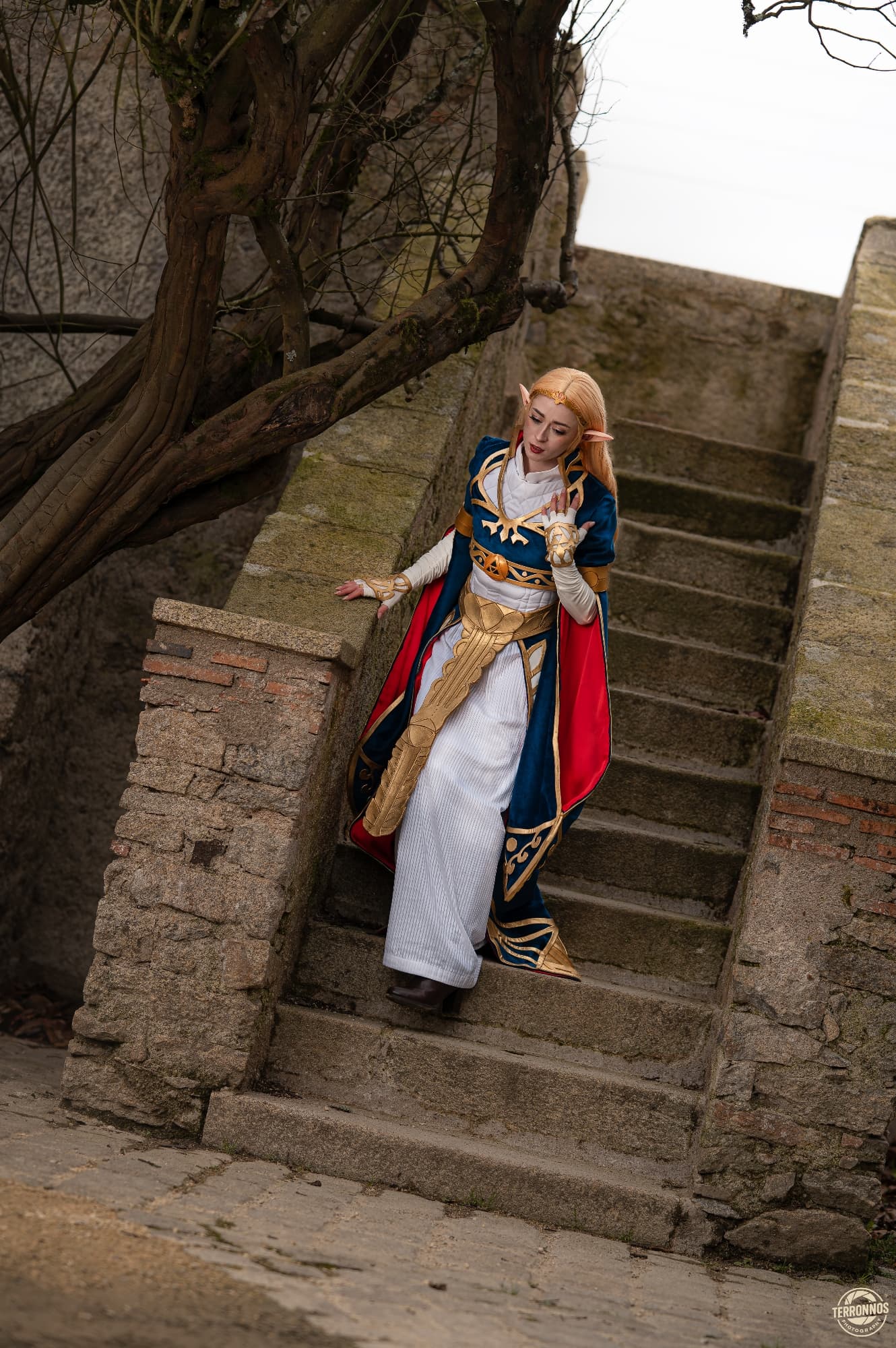 Zelda Royal Dress - Photo 2