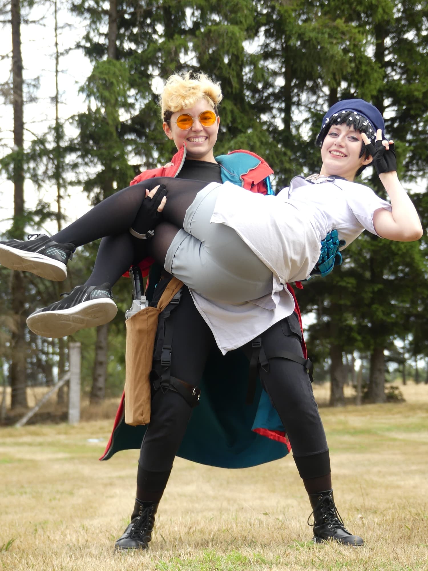 Gevaudan pop culture - Photo 20